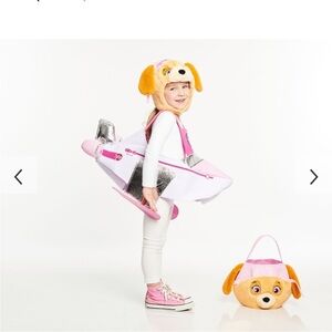 Skye Paw Patrol Halloween costume, 4-6 y